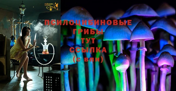 мяу мяу кристалл Верея