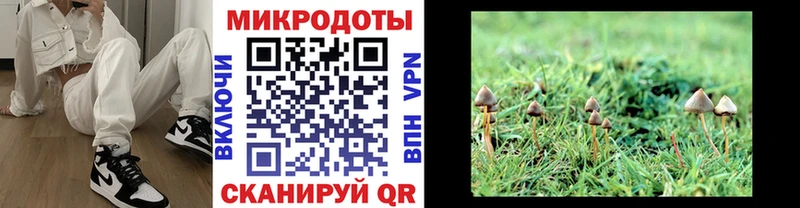 даркнет сайт  Узловая  Галлюциногенные грибы ЛСД 